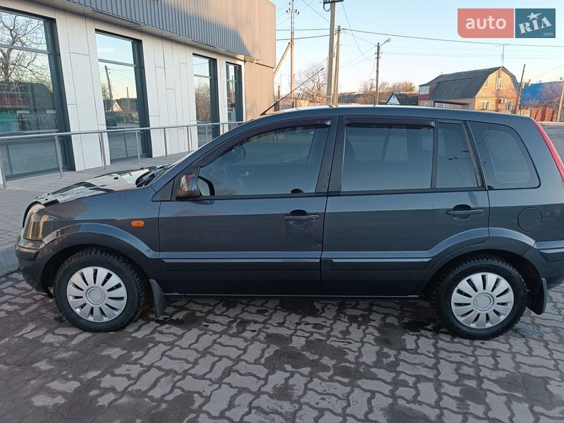 Хэтчбек Ford Fusion 2010 в Лубнах