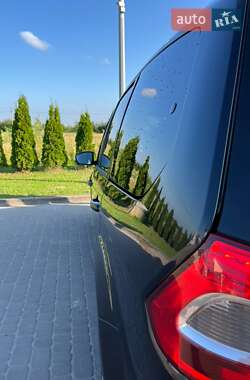 Минивэн Ford Galaxy 2010 в 
