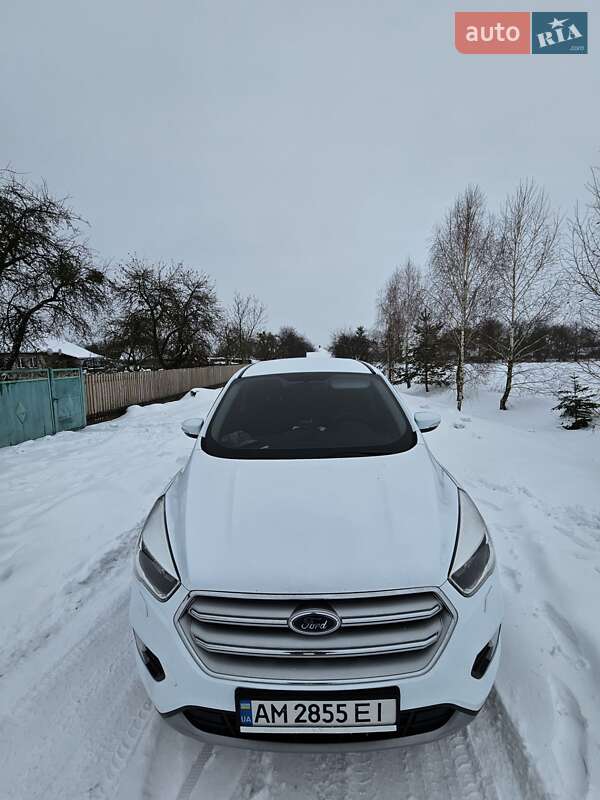 Позашляховик / Кросовер Ford Kuga 2019 в Овручі