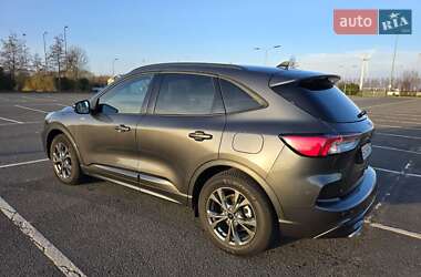 Внедорожник / Кроссовер Ford Kuga 2023 в 