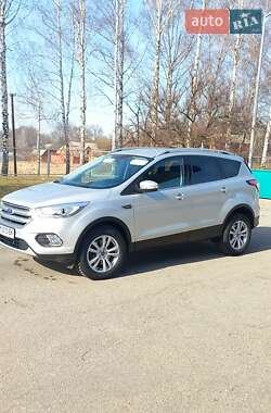 Внедорожник / Кроссовер Ford Kuga 2019 в 