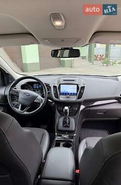 Внедорожник / Кроссовер Ford Kuga 2019 в 