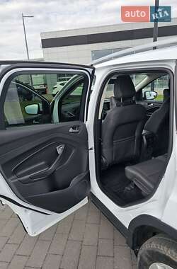 Внедорожник / Кроссовер Ford Kuga 2019 в 