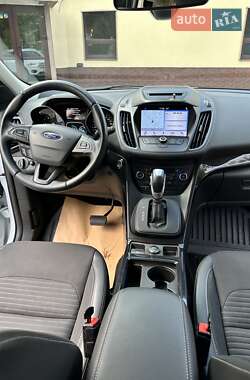 Внедорожник / Кроссовер Ford Kuga 2019 в 