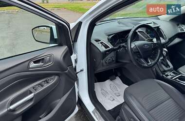 Внедорожник / Кроссовер Ford Kuga 2019 в 