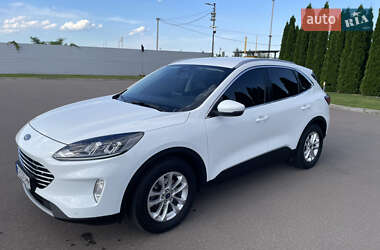 Внедорожник / Кроссовер Ford Kuga 2020 в 