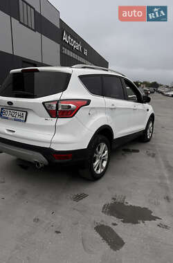Внедорожник / Кроссовер Ford Kuga 2019 в 