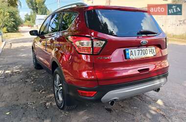 Внедорожник / Кроссовер Ford Kuga 2019 в 