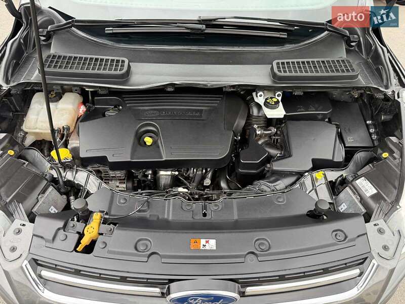 Внедорожник / Кроссовер Ford Kuga 2015 в Луцке