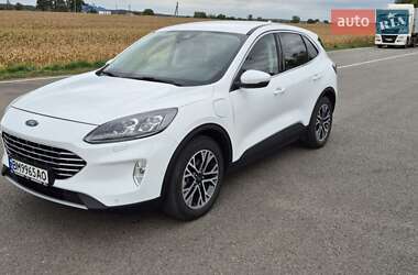 Внедорожник / Кроссовер Ford Kuga 2020 в 