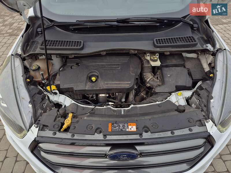 Внедорожник / Кроссовер Ford Kuga 2017 в Бердичеве