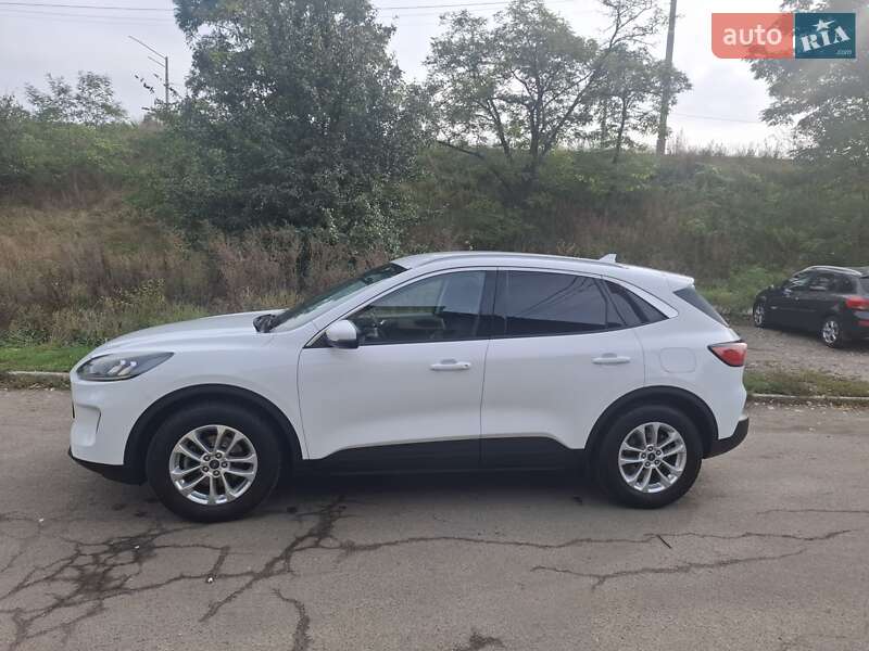 Внедорожник / Кроссовер Ford Kuga 2021 в Киеве