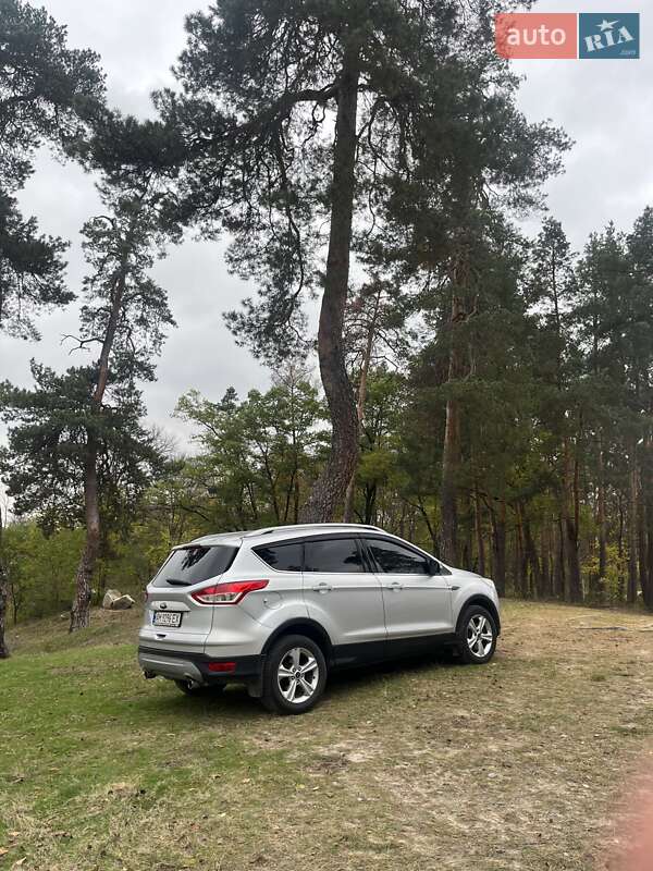 Внедорожник / Кроссовер Ford Kuga 2014 в Житомире фото 9 Внедорожник / Кроссовер Ford Kuga 2014 в Житомире