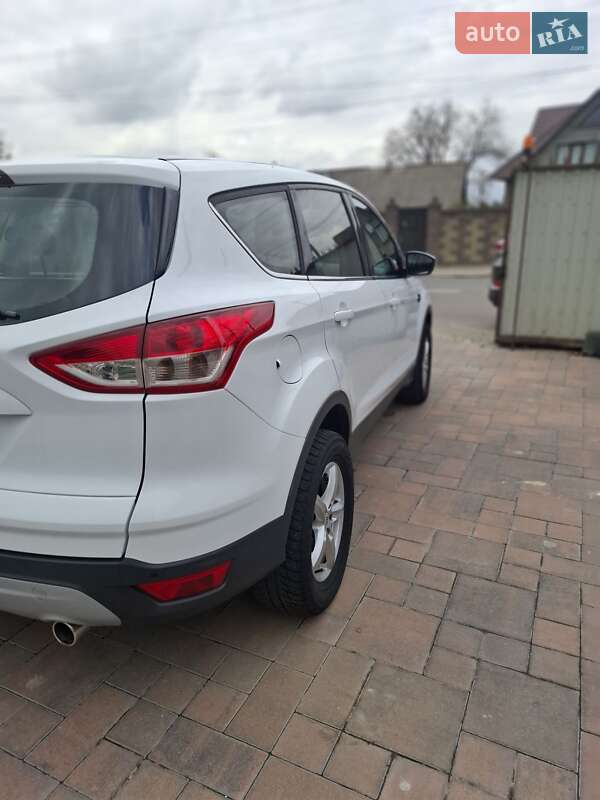 Внедорожник / Кроссовер Ford Kuga 2014 в Звягеле