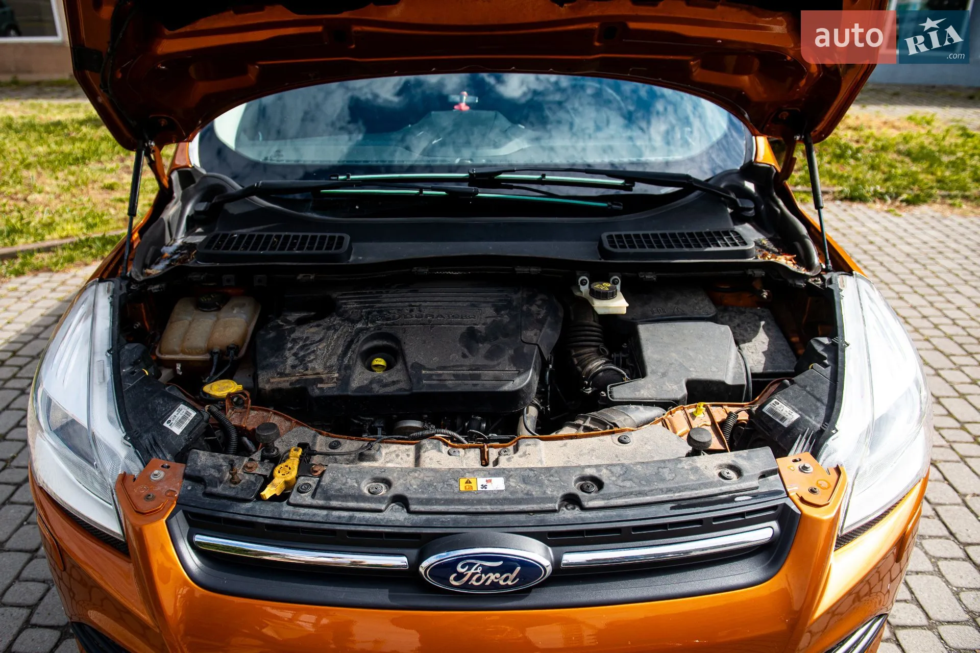 2015 Ford Kuga - мініатюра 12