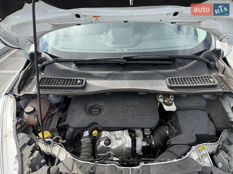 Внедорожник / Кроссовер Ford Kuga 2019 в Киеве