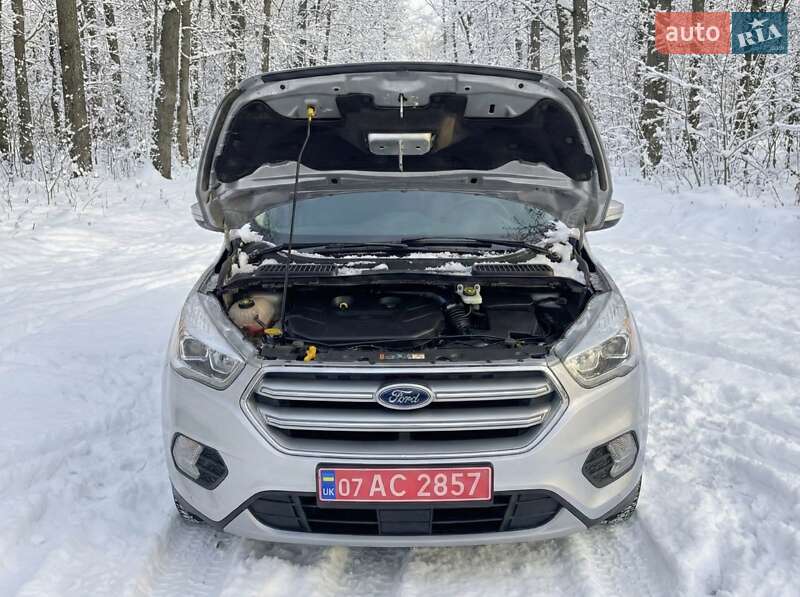 Внедорожник / Кроссовер Ford Kuga 2019 в Житомире