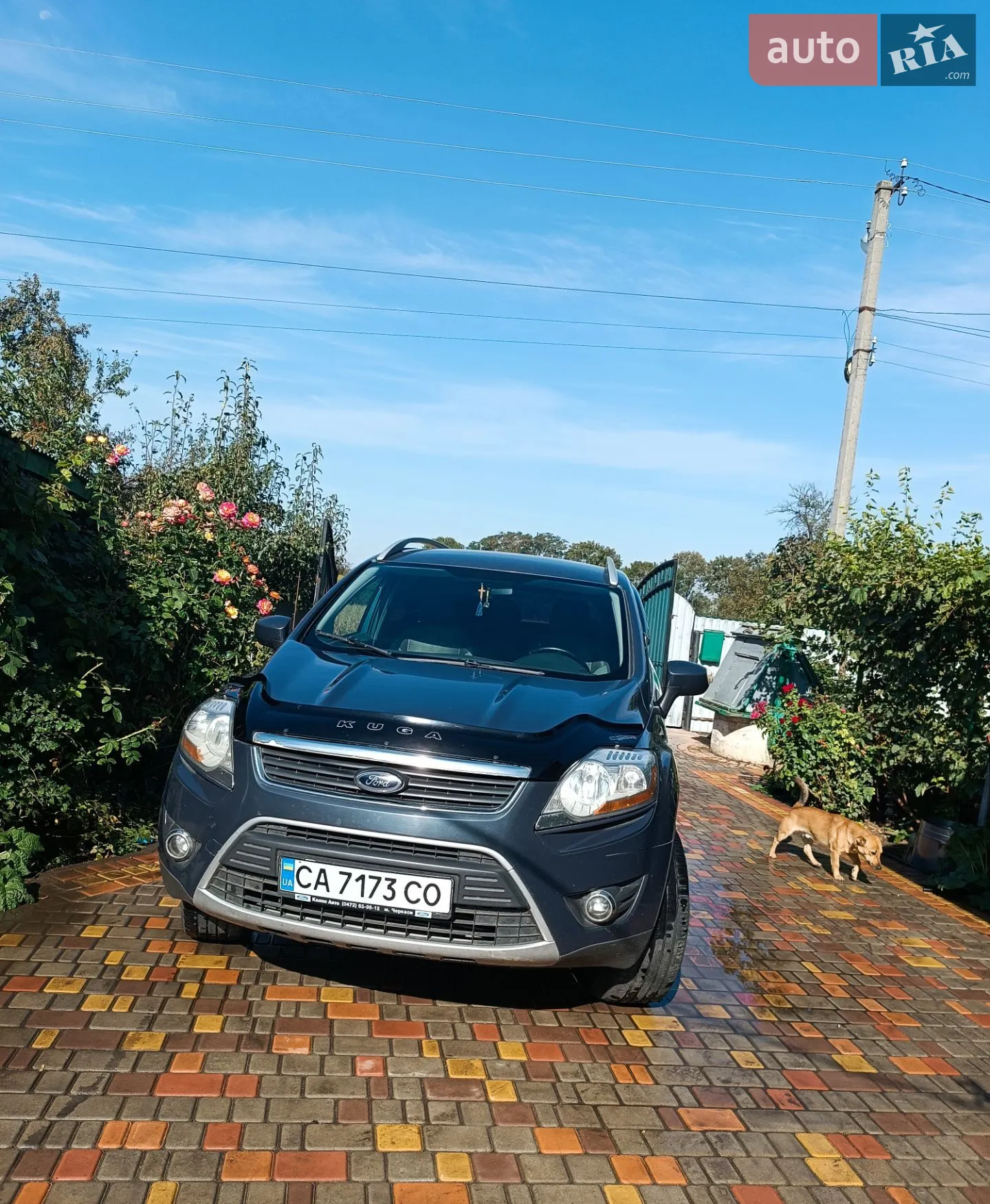 2010 Ford Kuga - мініатюра 4