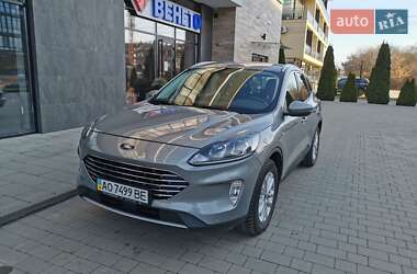 Внедорожник / Кроссовер Ford Kuga 2020 в Ужгороде