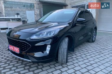 Внедорожник / Кроссовер Ford Kuga 2021 в Бродах