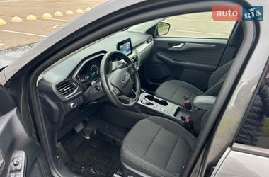Внедорожник / Кроссовер Ford Kuga 2023 в Николаеве