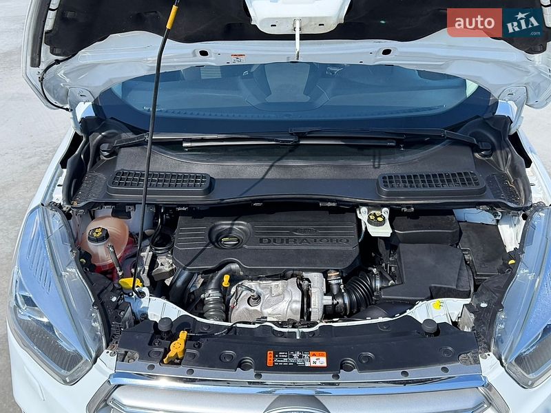Внедорожник / Кроссовер Ford Kuga 2019 в Черкассах