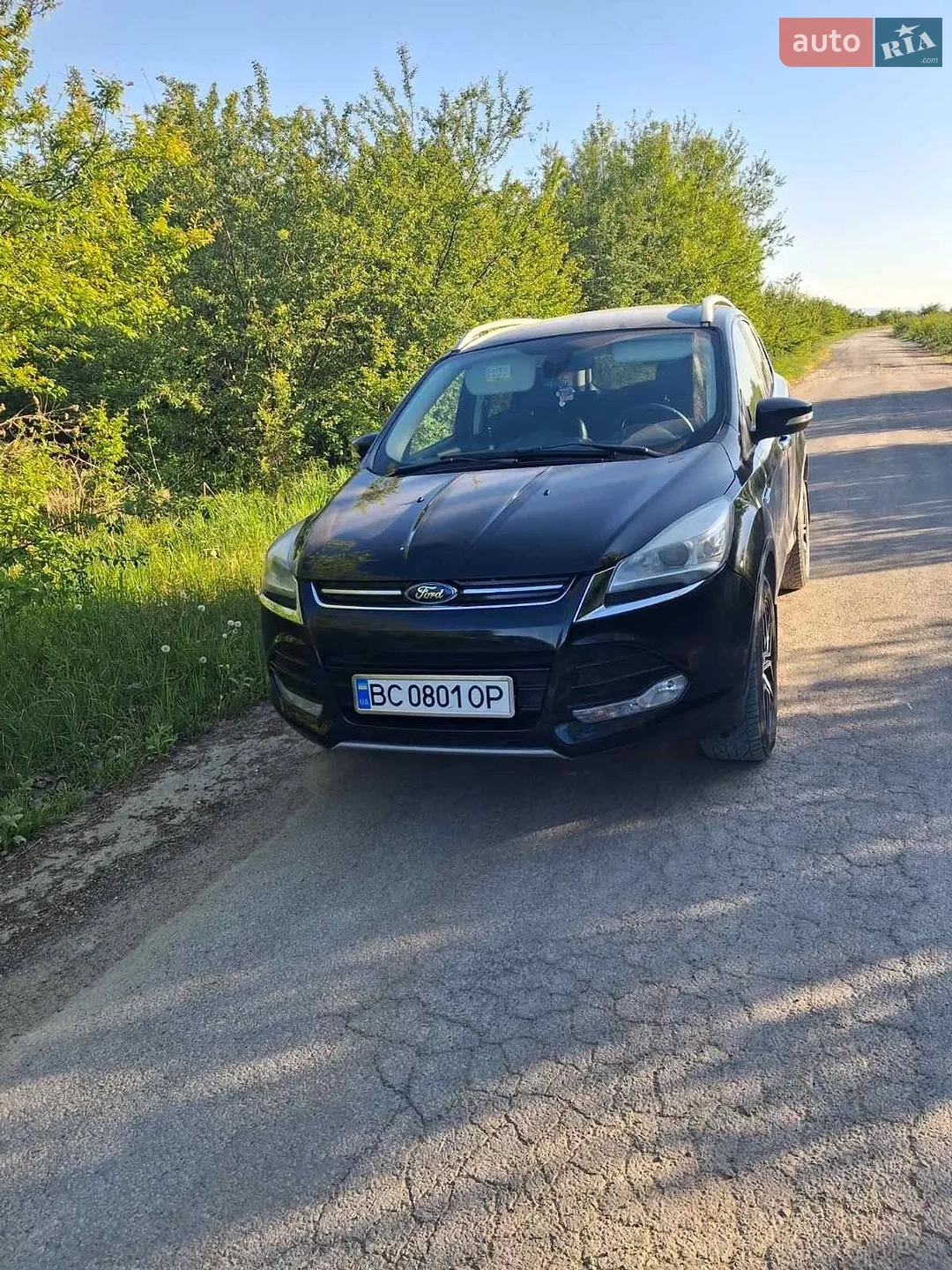 2013 Ford Kuga - мініатюра 2