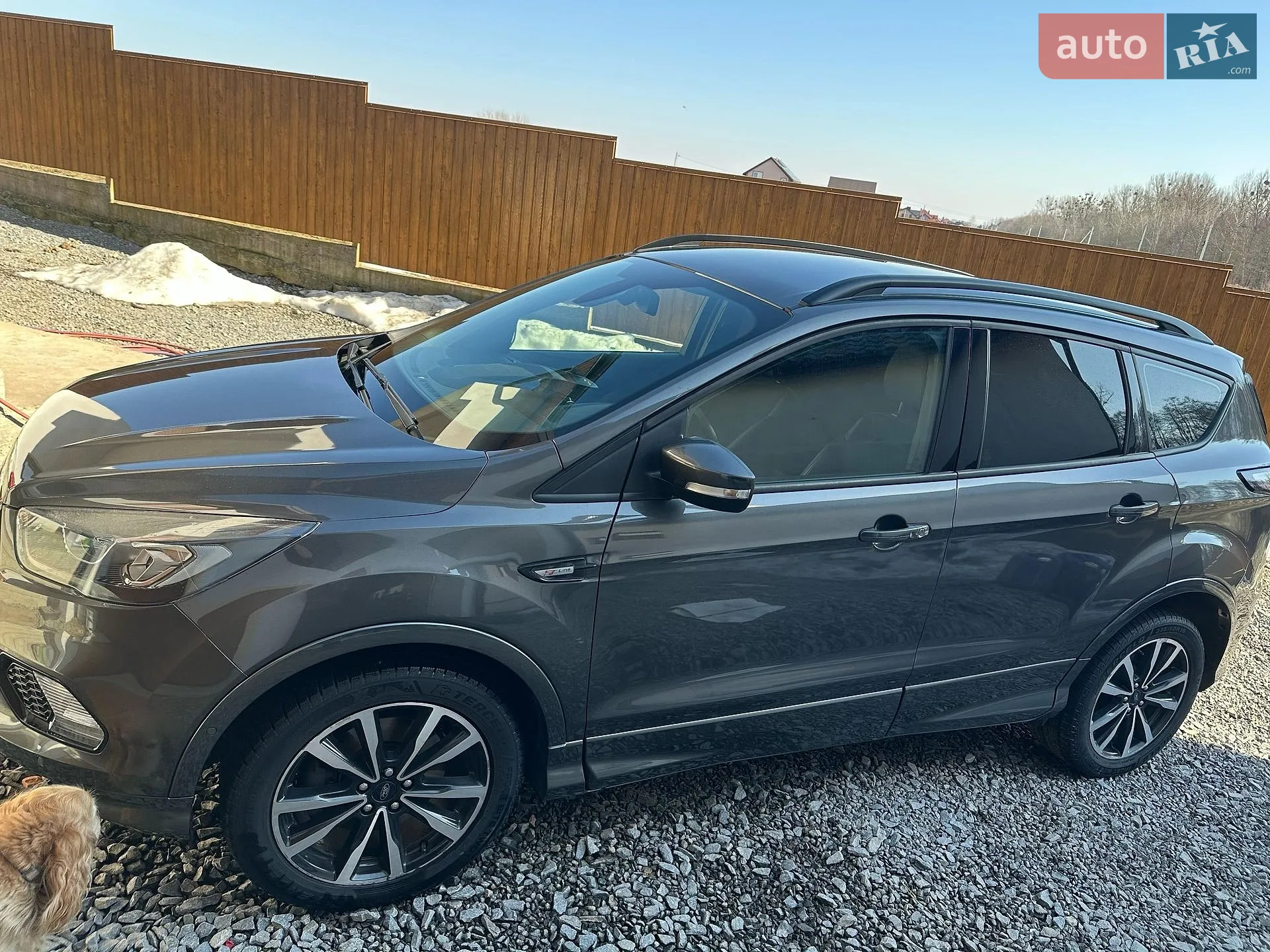 2019 Ford Kuga - мініатюра 2