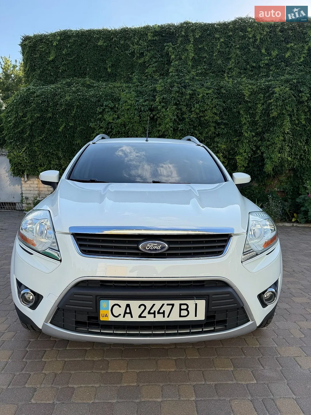 2010 Ford Kuga - мініатюра 2