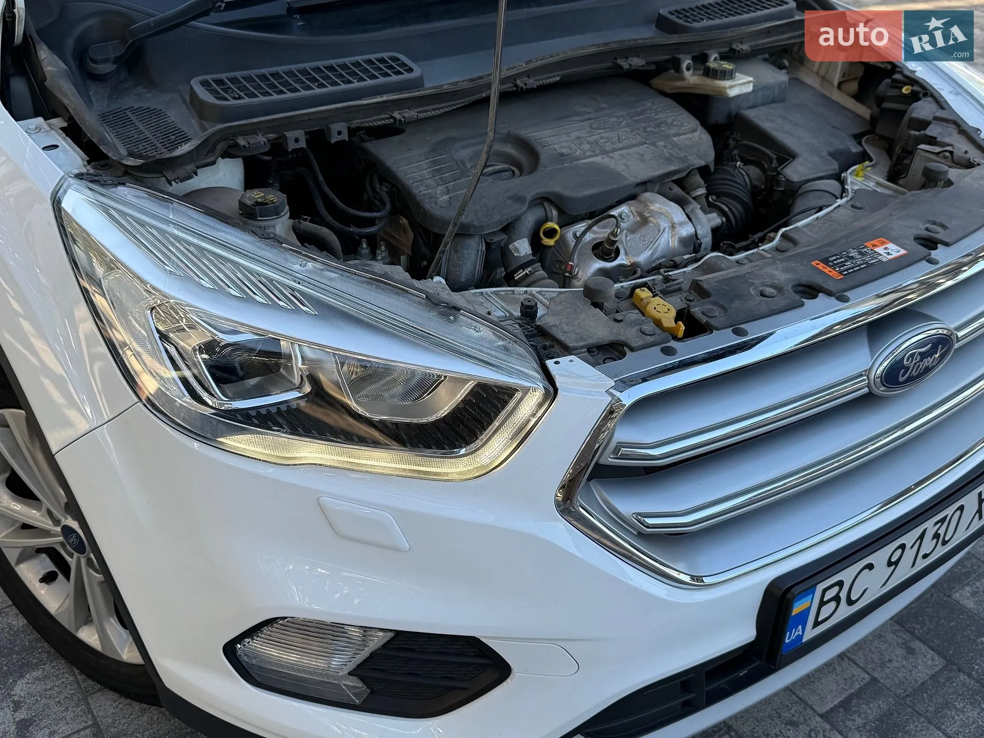 2019 Ford Kuga - мініатюра 8