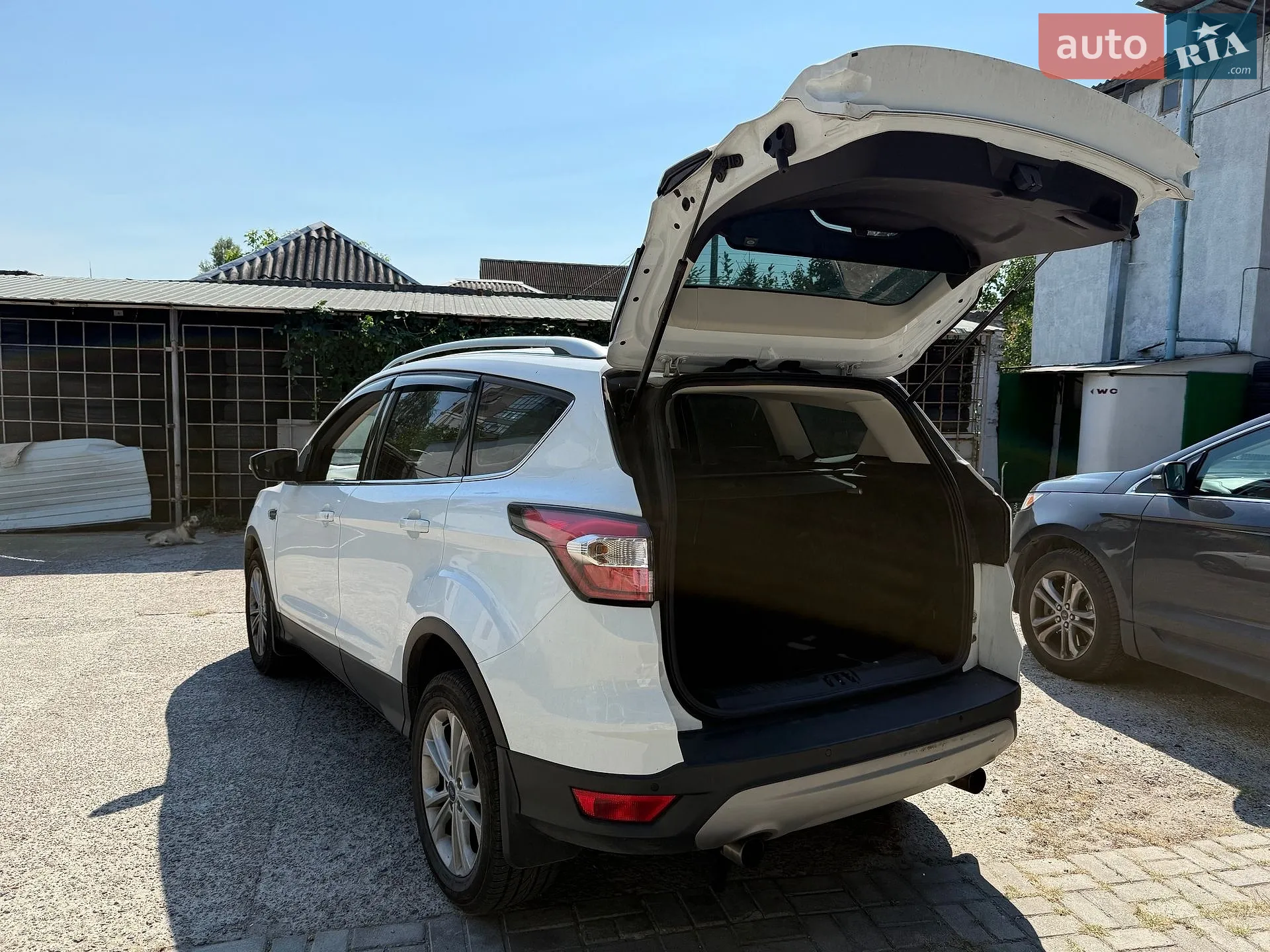 2019 Ford Kuga - мініатюра 9