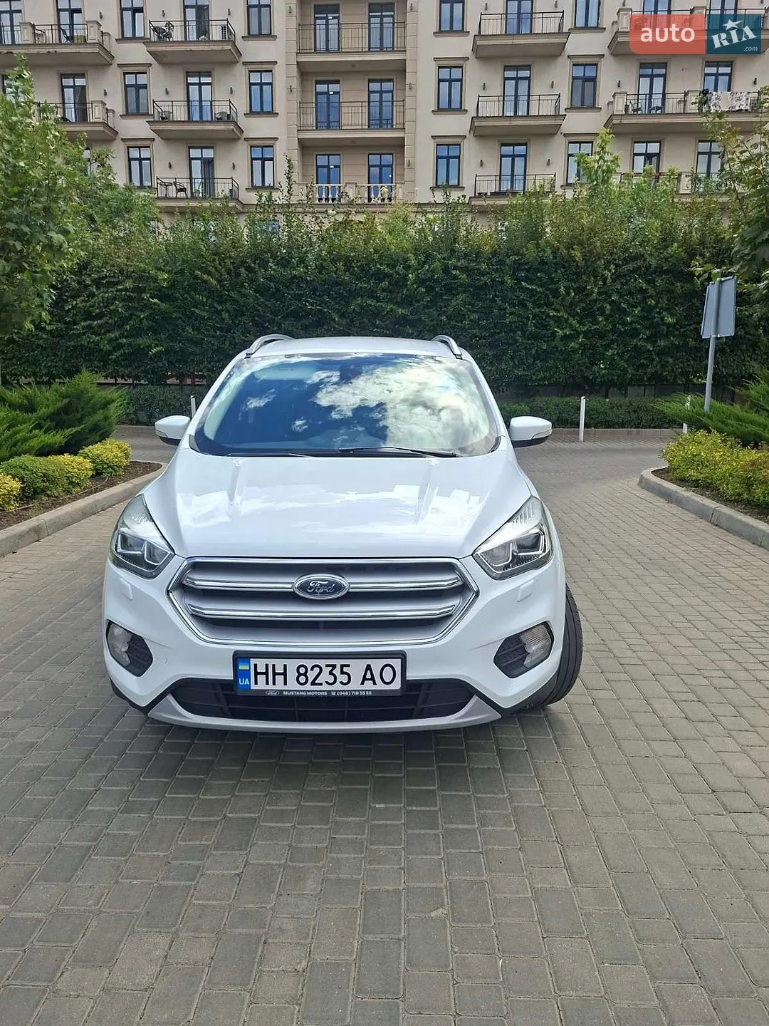 2019 Ford Kuga - мініатюра 2