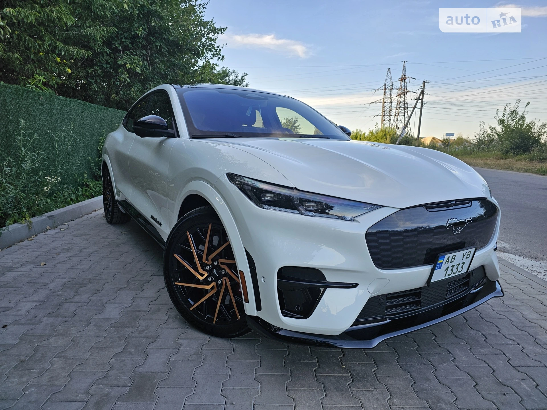 2023 Ford Mustang Mach-E - мініатюра 13