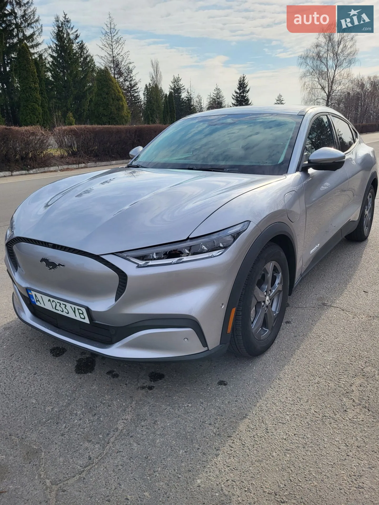 2021 Ford Mustang Mach-E - мініатюра 11