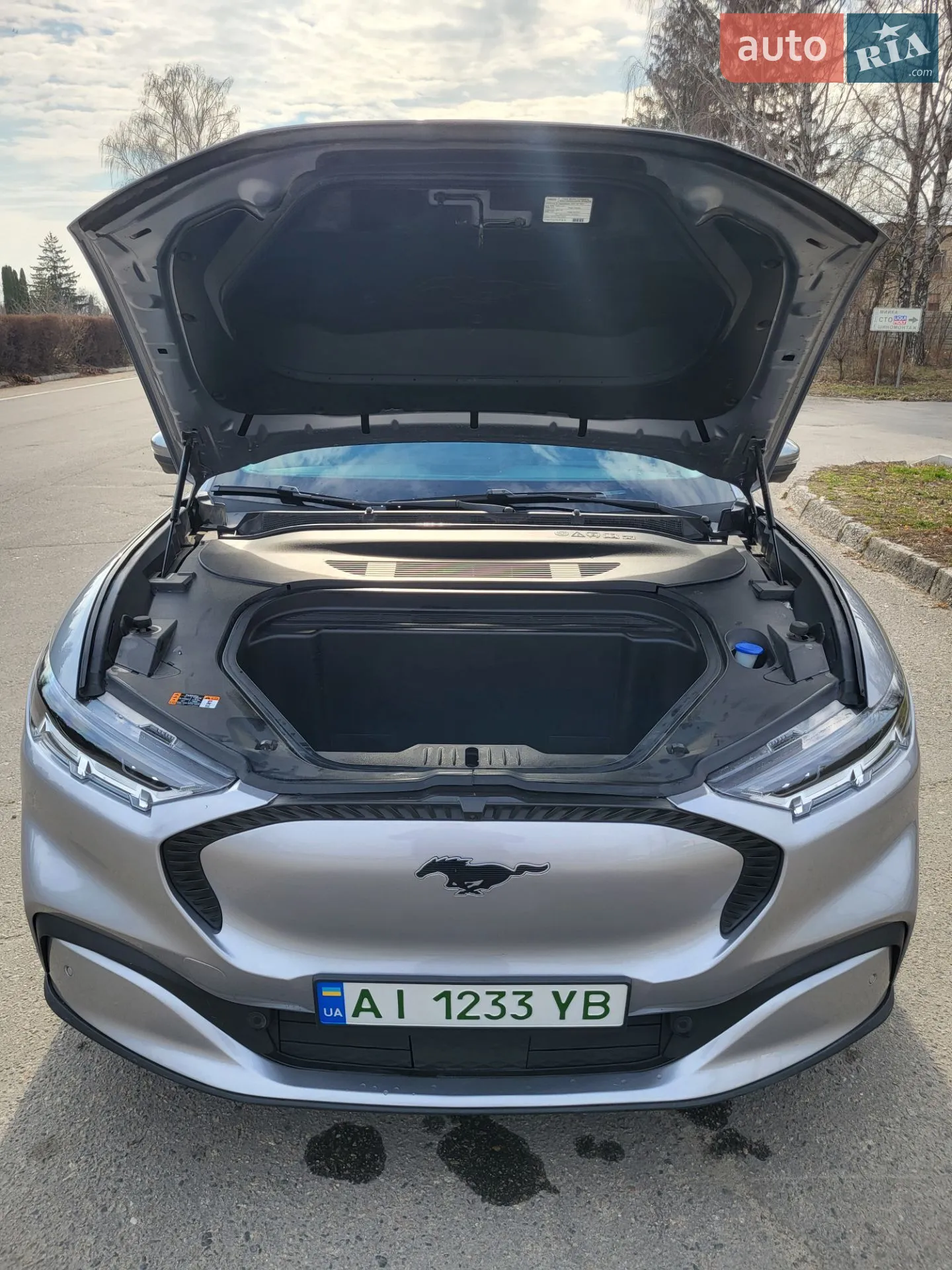 2021 Ford Mustang Mach-E - мініатюра 34