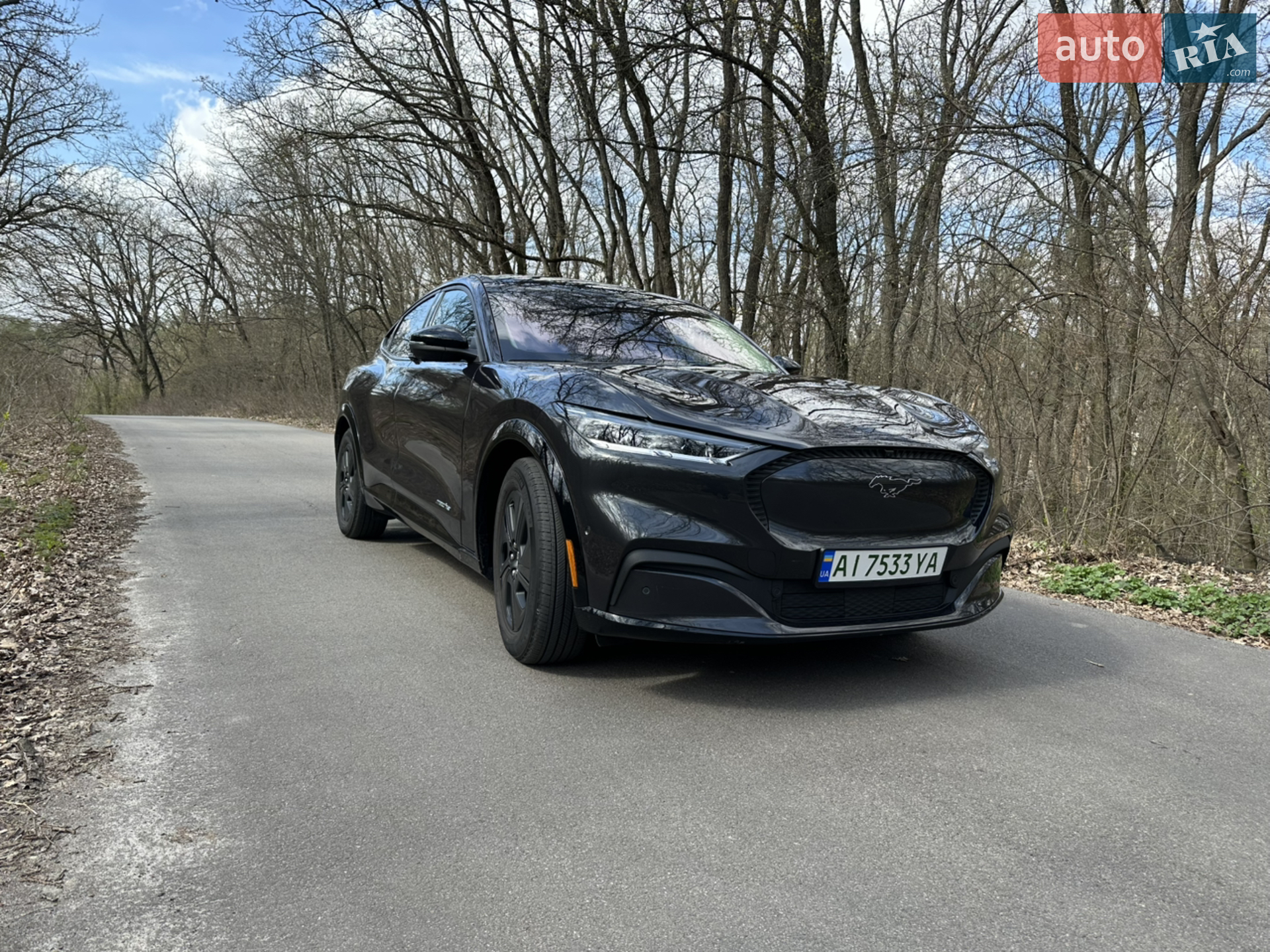 2022 Ford Mustang Mach-E - фото 1