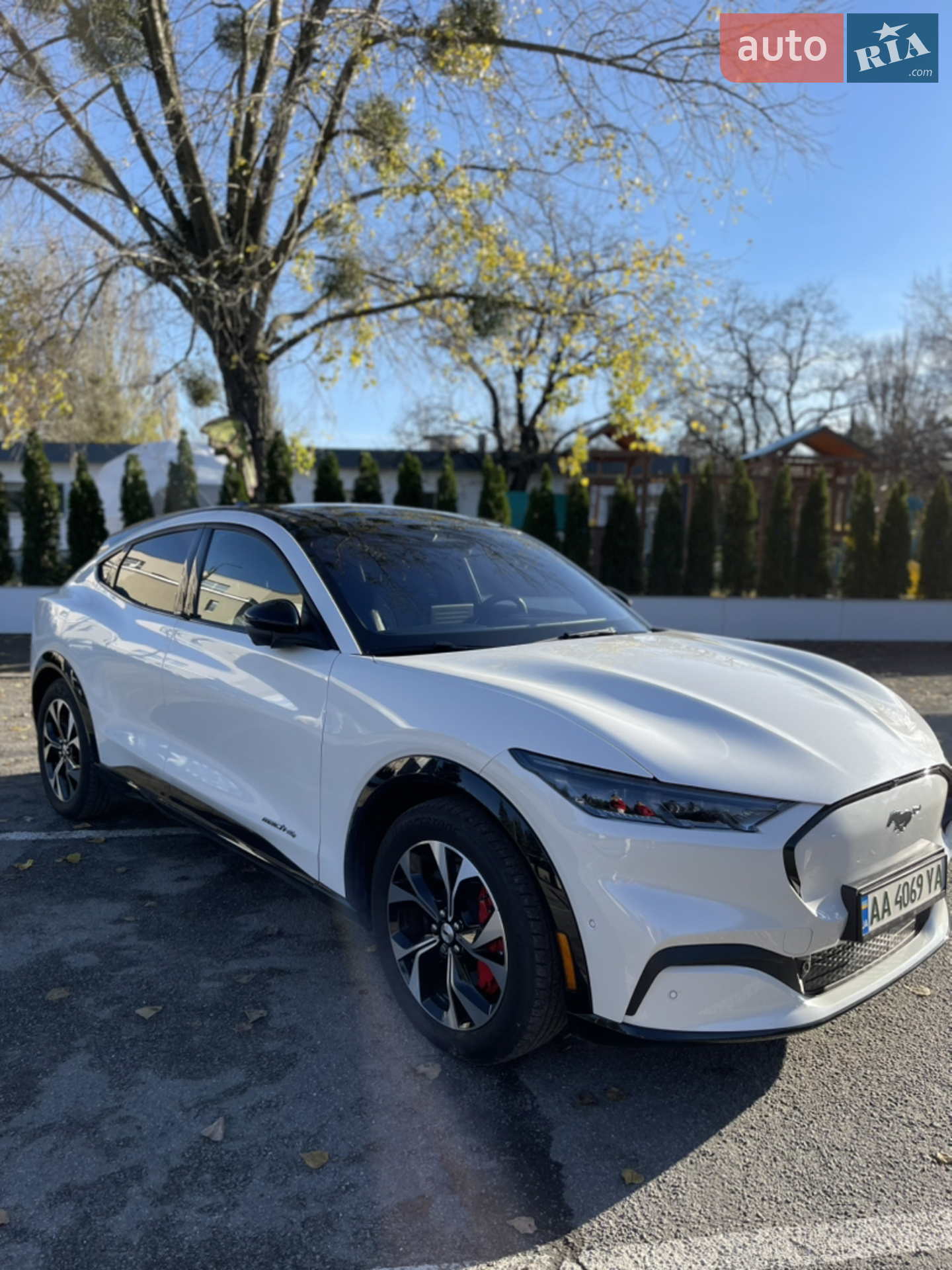 2022 Ford Mustang Mach-E - фото 1