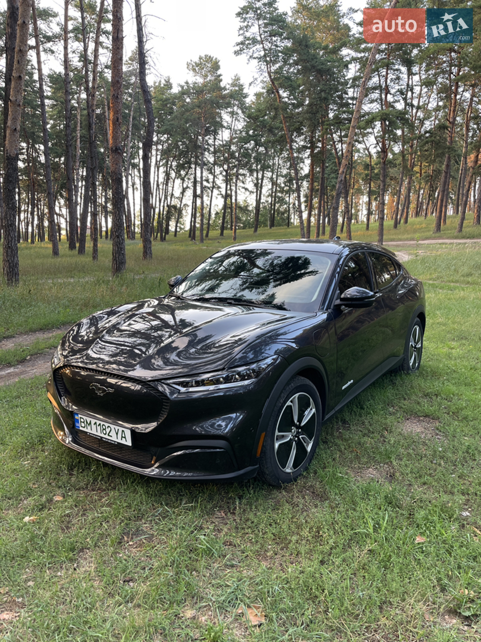 2022 Ford Mustang Mach-E - мініатюра 23
