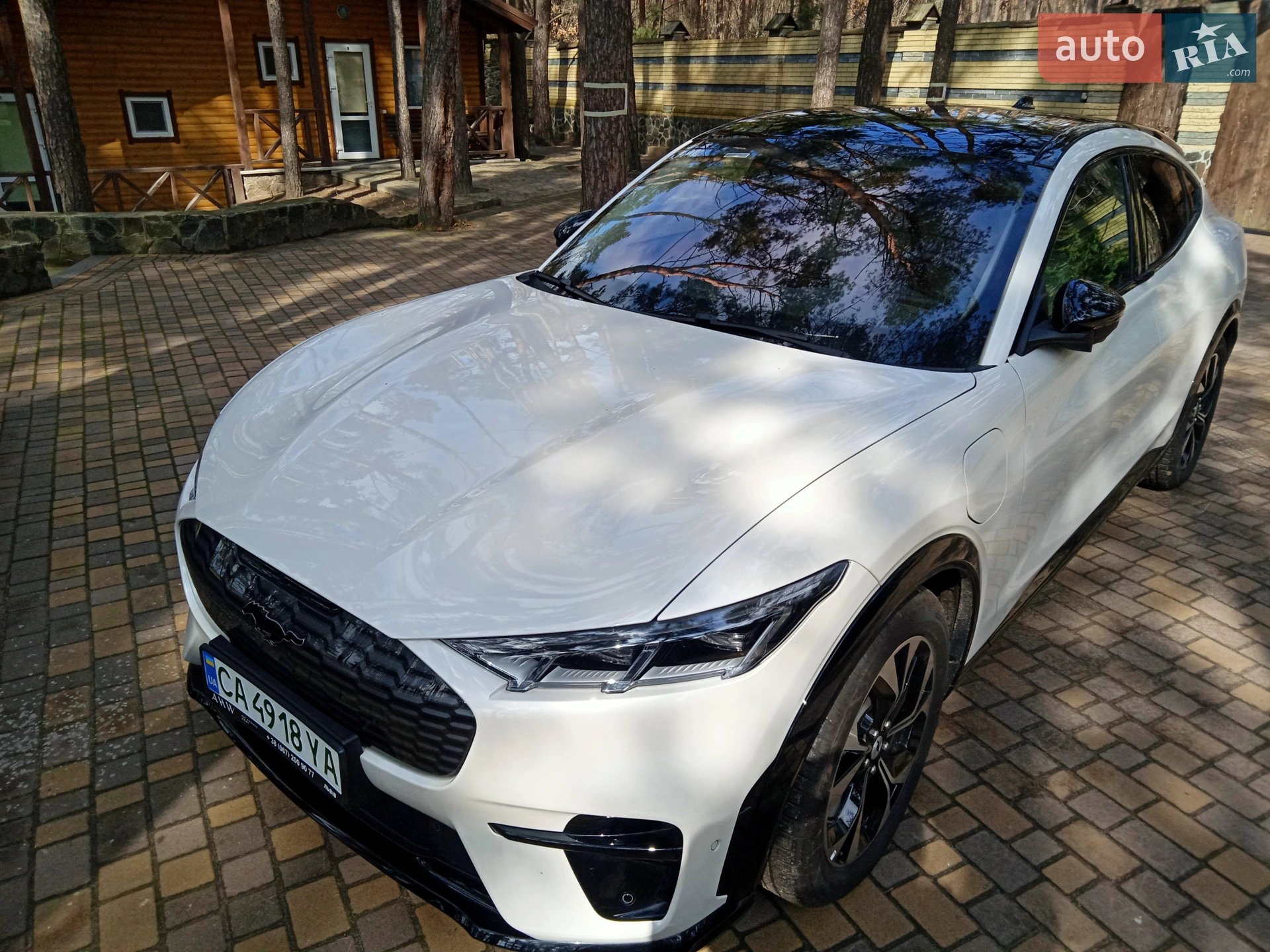 2021 Ford Mustang Mach-E - мініатюра 2