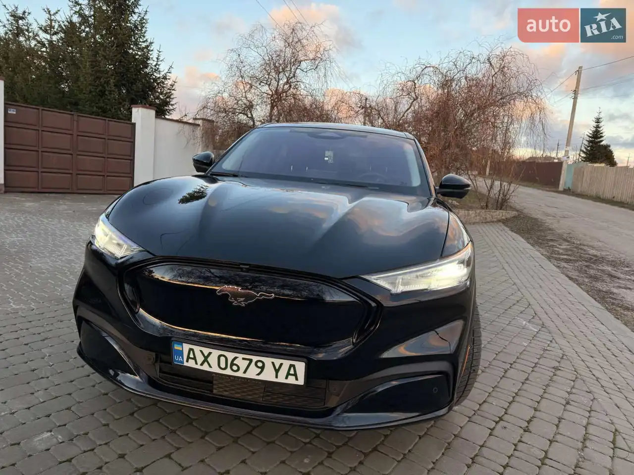 2021 Ford Mustang Mach-E - мініатюра 45