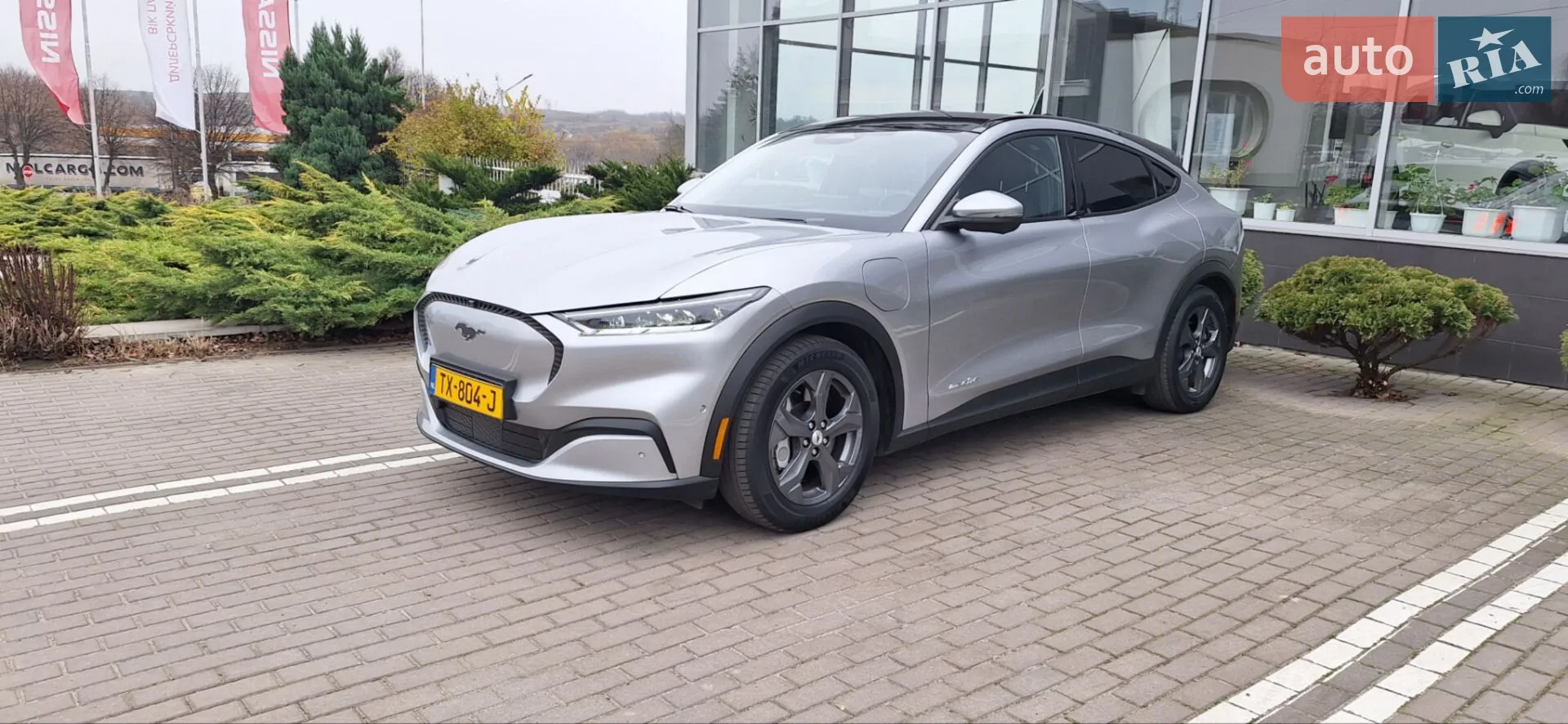 2021 Ford Mustang Mach-E - мініатюра 10