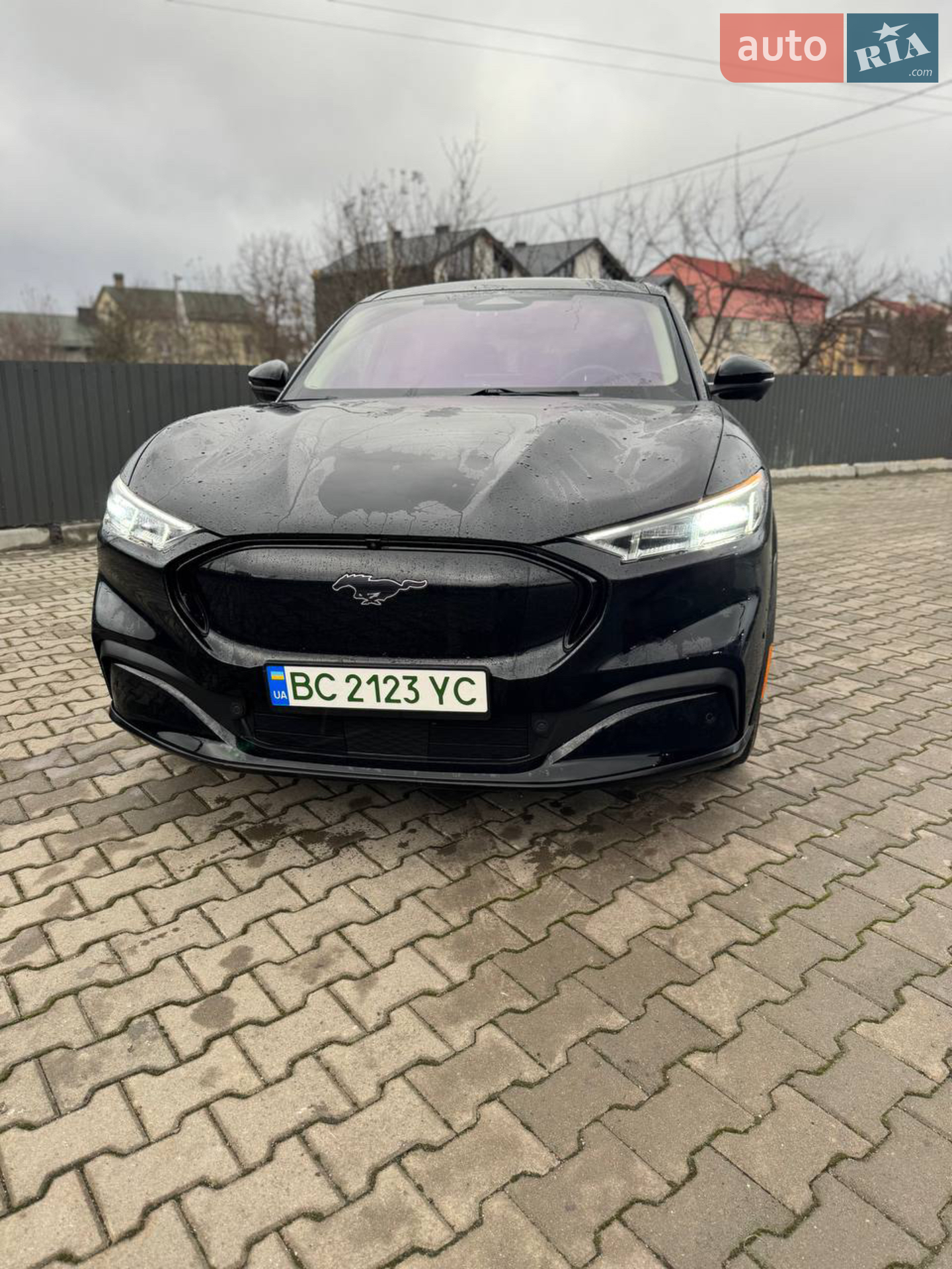 2020 Ford Mustang Mach-E - мініатюра 8