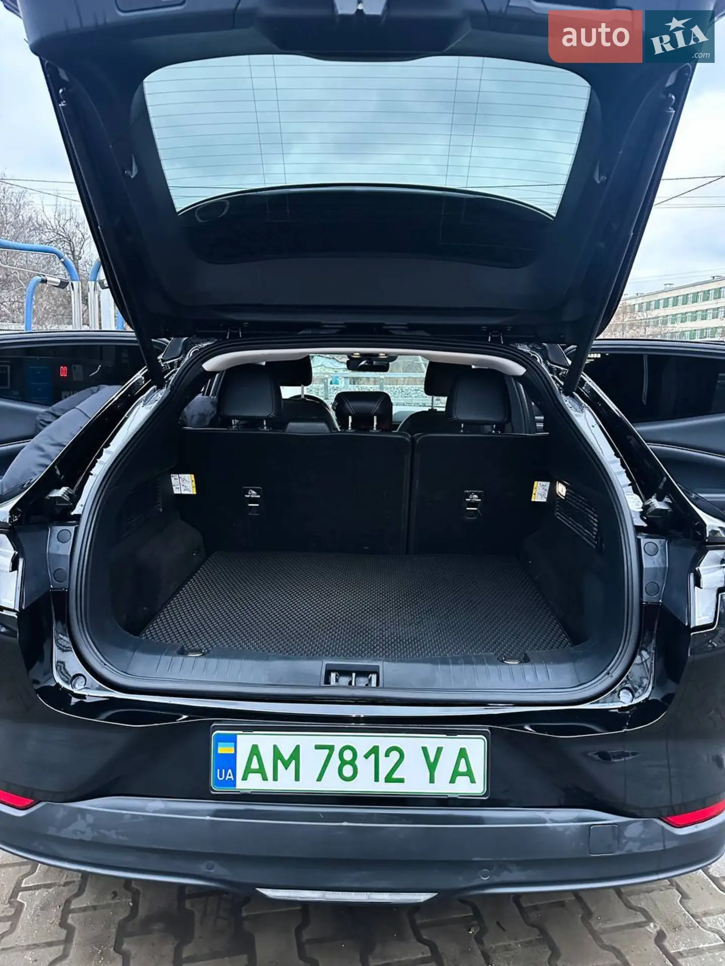 2021 Ford Mustang Mach-E - мініатюра 18