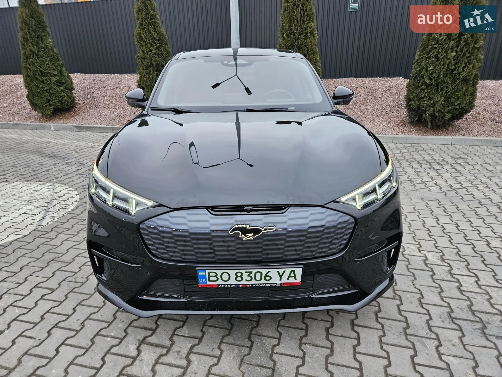 2021 Ford Mustang Mach-E - мініатюра 2