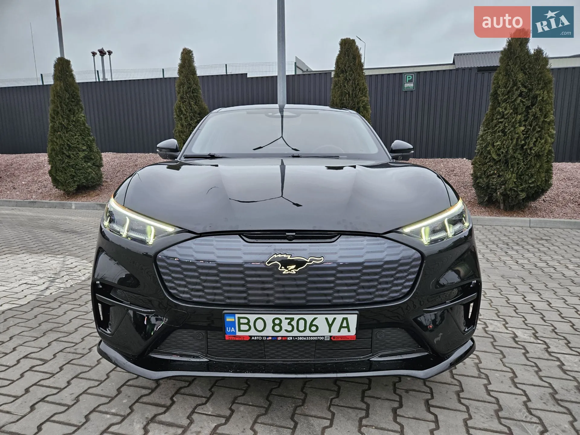 2021 Ford Mustang Mach-E - мініатюра 18