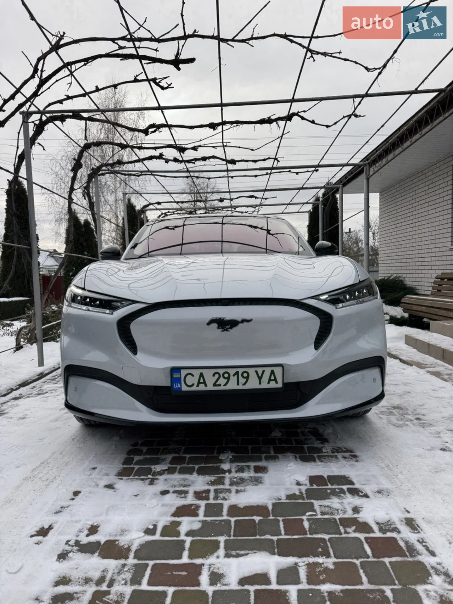2021 Ford Mustang Mach-E - мініатюра 2