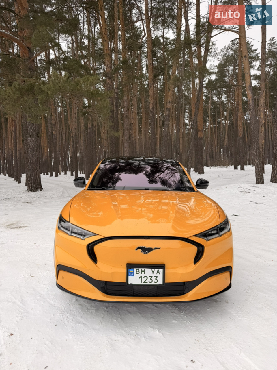 2022 Ford Mustang Mach-E - мініатюра 25