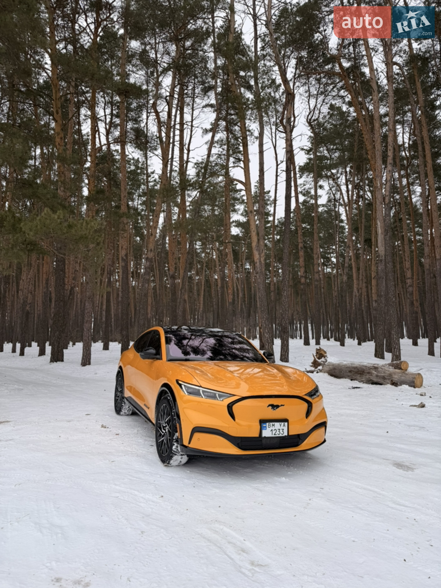 2022 Ford Mustang Mach-E - мініатюра 11