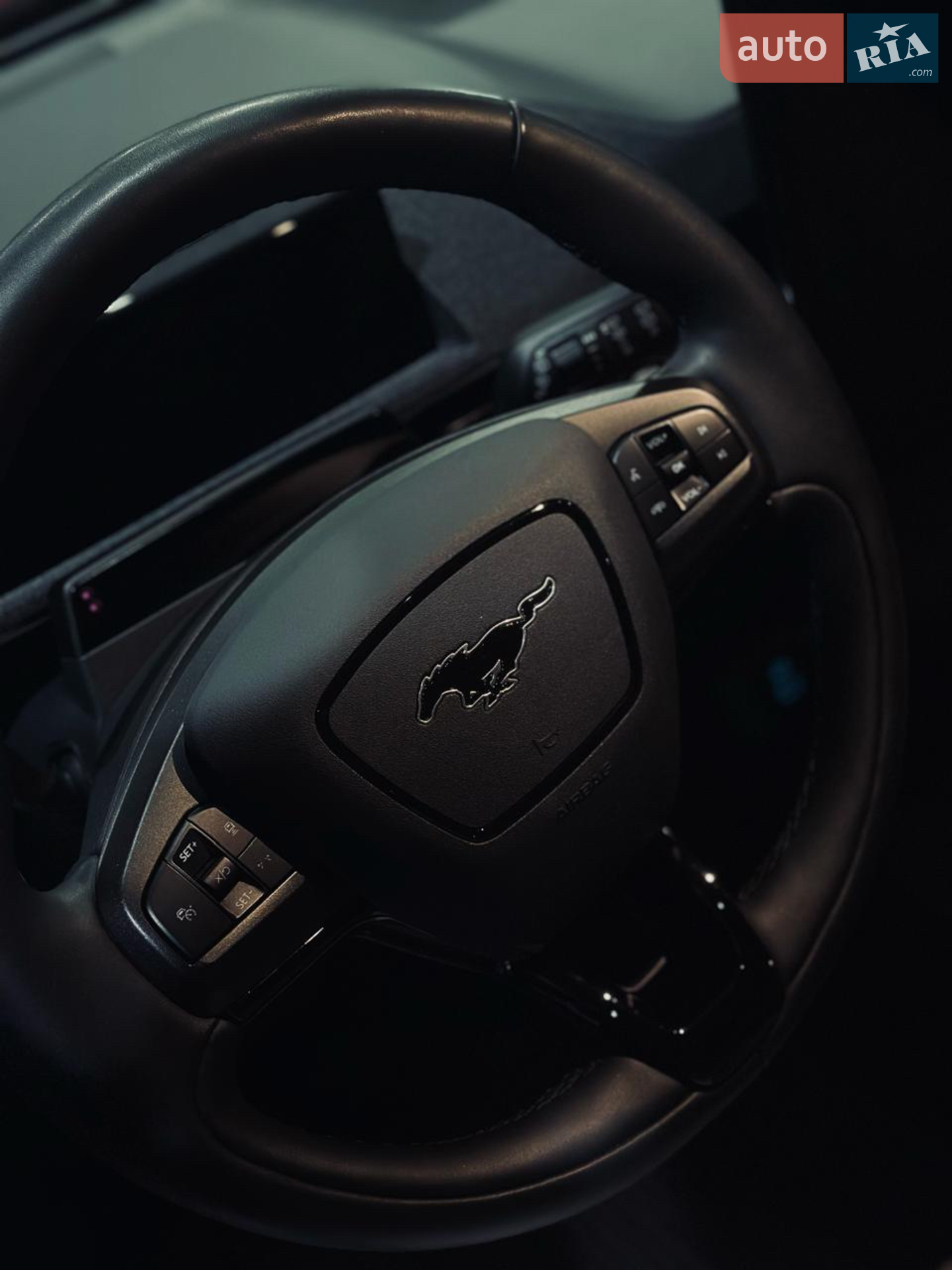 2021 Ford Mustang Mach-E - мініатюра 6