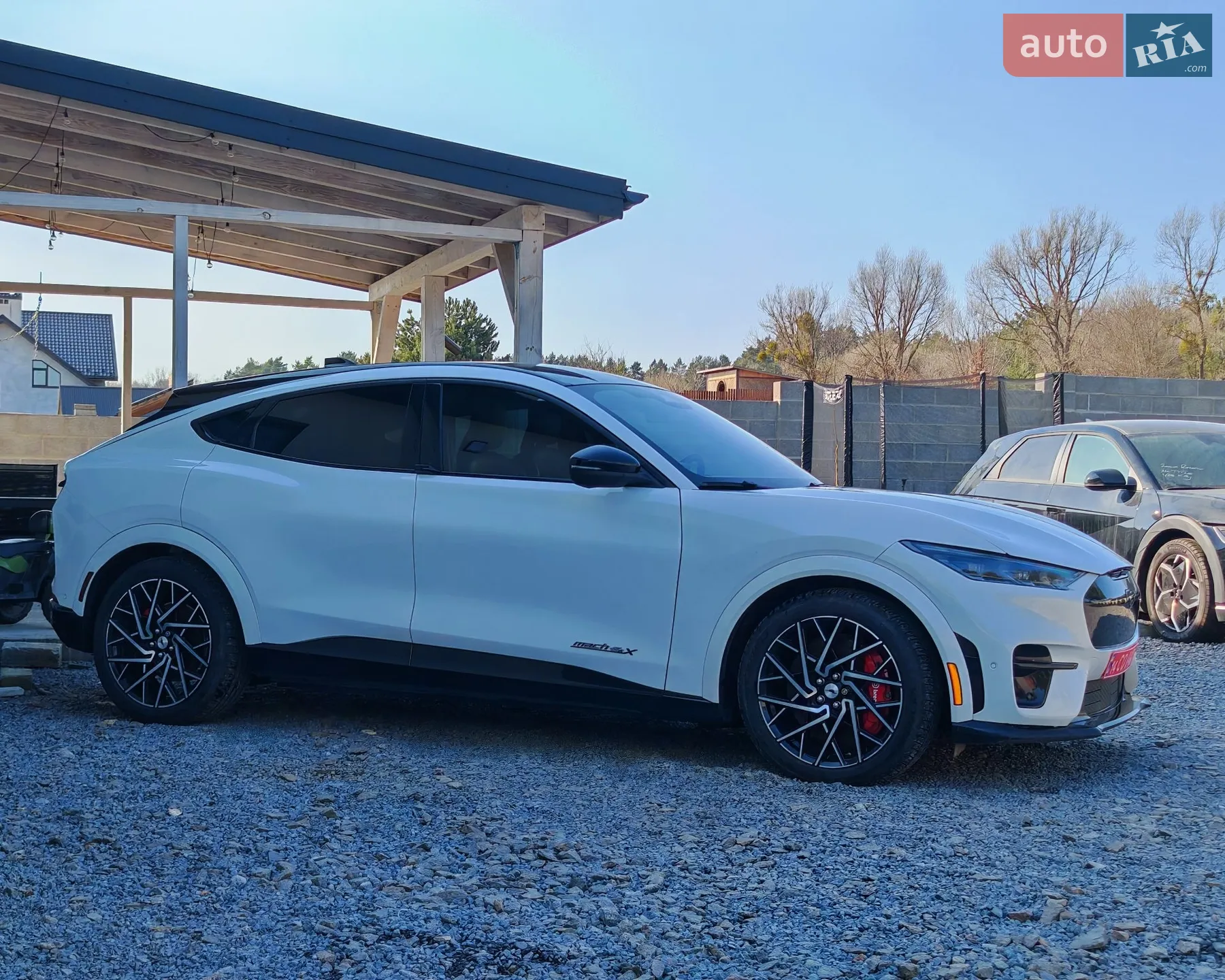 2021 Ford Mustang Mach-E - мініатюра 8